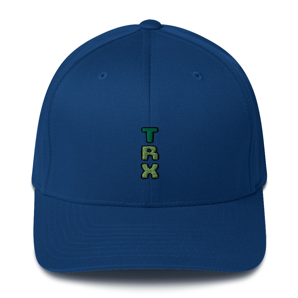 TeeRex "TRX" Embroidered Structured Twill Cap